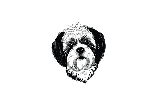 Cute Havanese: A Vector Illustration of the Adorable Havanese Dog