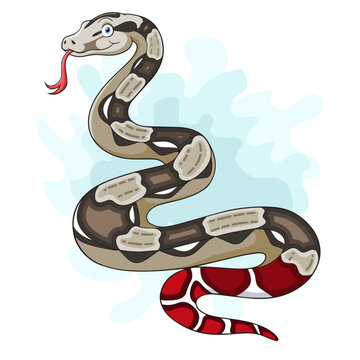Cartoon happy boa constrictor snake