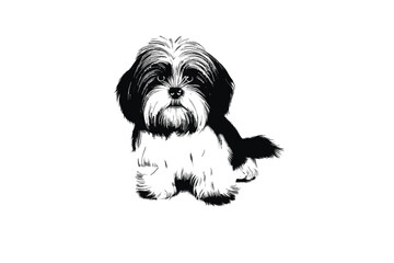 Cute Havanese Charm: An Image of the Adorable Havanese Dog