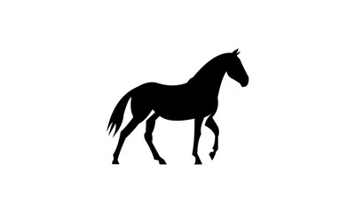 Obraz na płótnie Canvas horse silhouette vector