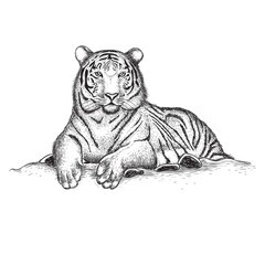tiger art