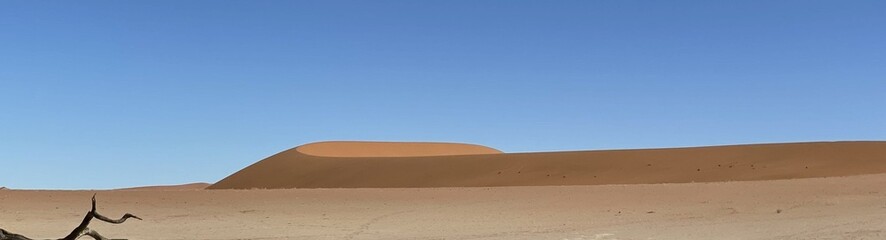 sand dunes in the desert
