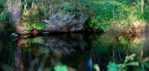 River in the forest with rocks and green foliage. Beautiful river in the forest. Landscape