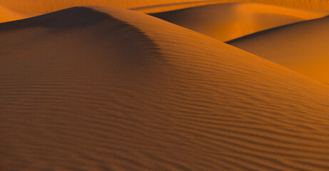Fototapeta na wymiar Beautiful dunes in the Arabian desert of Abu Dhabi - UAE