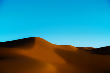 Fototapeta na wymiar Beautiful dunes in the Arabian desert of Abu Dhabi - UAE
