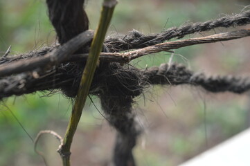 selective focus, pattern background, texture, and shape of palm fiber rope made of black coconut coir.