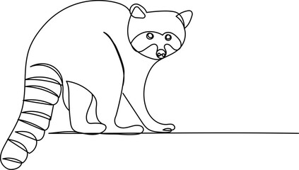 raccoon drawing continuous line, sketch, on a white background, vector
