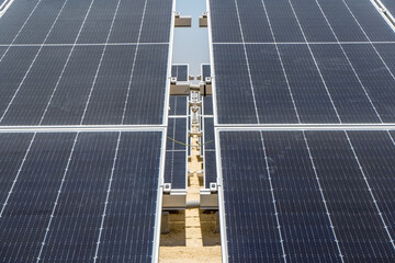 solar panel plant