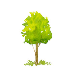 Watercolor illustration with tree and grass. Hand-drawn illustration isolated on the white background