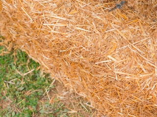 Close-up shot of a hay bale.