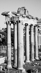 Roman Forum at sunrise, from left to right: Temple of Vespasian and Titus, church of Santi Luca e...