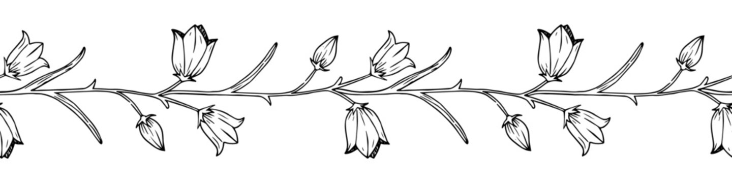 Vector hand drawn bellflower and leaves seamless brush. Wildflower in realistic style. Floral sketch pattern.