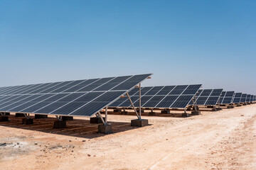 solar panel plant