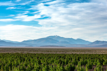 Bolivia countryside and Salt Flats