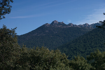 góra, krajobraz, widok, wzgórze, sceneria, park, las, scena, natura, drzewo, na zewnątrz,...