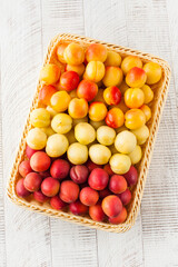 Assorted different types of apricots in a basket. Stone fruits, harvesting.