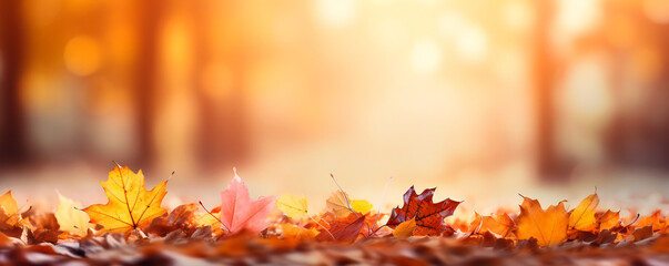 Naklejka na ściany i meble Autumn leaves over a blurred background, beautiful fall colors
