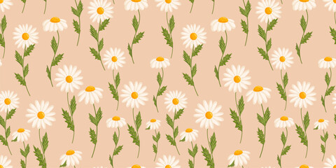 Seamless pattern with blooming daisies. Chamomile vector floral illustration for postcard, poster, fabric, wrapping paper, decor etc. Flowers for spring and summer holidays.