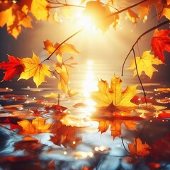 Autumn Fall Leaves in Water Sun