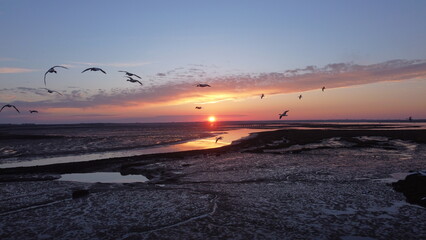 Obraz premium Lever de soleil sur l'ile de ré_2