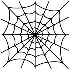 Obraz premium Spider web 