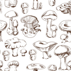 Seamless pattern of different hand-drawn  mushrooms. Sketch illustration for print, web, mobile and infographics.