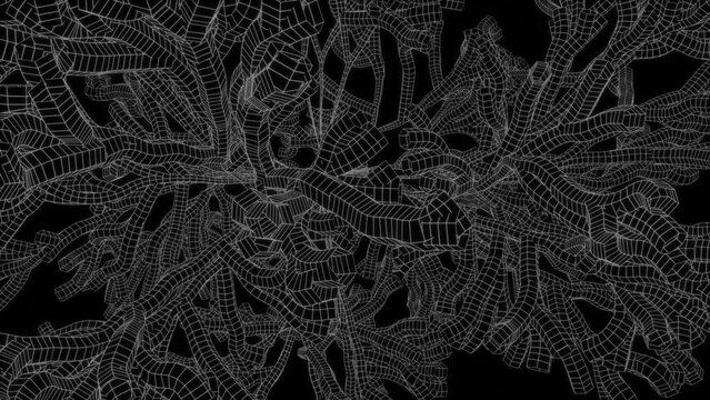 Abstract background seamless loop black and white roots. neural link. Vj loop trees in outer space for live concert music video abstract trippy art. loop for backdrops. VFX video. ESG