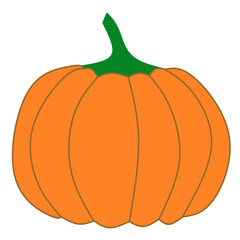 Pumpkin Illustration