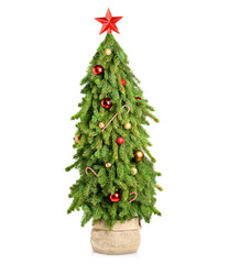 Decorated Christmas tree in a burlap pot on an isolated white background
