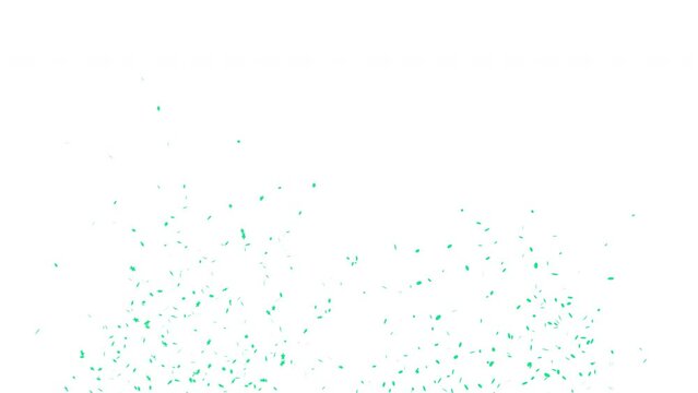Turquoise 3D animation of confetti falling on White Green and Alpha Screen Background 4K. Celebrate the holidays. Easy to put it into your scene or video. confetti celebration, birthday party, anniver