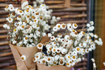 Autumn flowers dried daisies in flower shop. fall season decoration