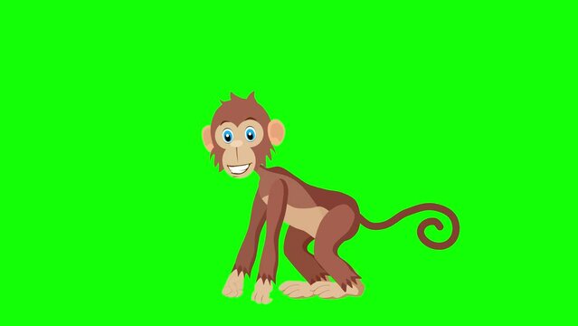 Cartoon funny  monkey walking animation green screen