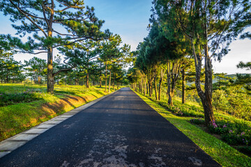 Obraz premium Trails lead into pine hills and flower forests in the Love Valley tourist area 