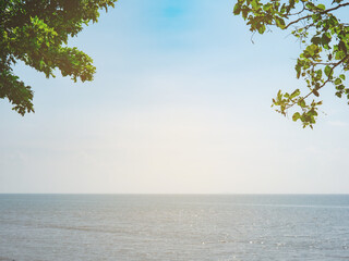 Sea beach background image with tropical decorated branches in summer concept.