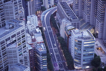 Fototapeta na wymiar 東京の道