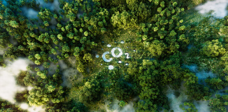 Visual concept of CO2 emissions and their environmental impact, represented by a forest-located pond in the form of a CO2 symbol. 3d rendering.
