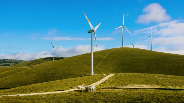 A wind farm or wind park, is a group of wind turbines used to produce electricity. This particular wind farm is located on the mountains of Italy and it allows to realize clean energy. enviromental