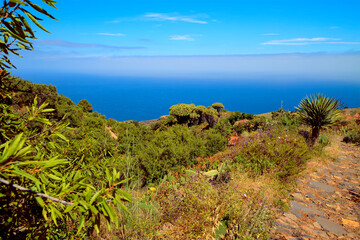 Landschaft von Las Tricias auf La Palma.