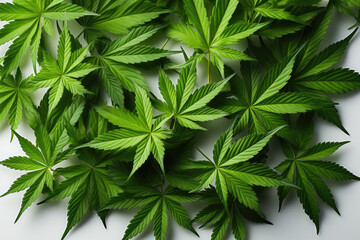 marijuana leaf background - obrazy, fototapety, plakaty