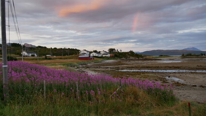 Senja