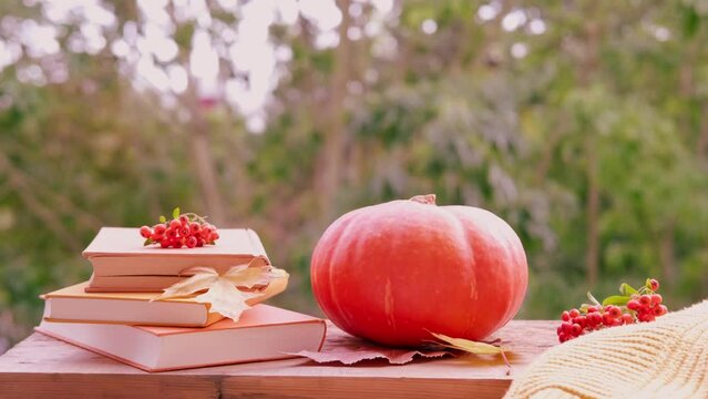 autumn Yellow Leaves, pumpkin, orange pyracantha Berries, books on table in Garden, Autumn Decor and Creativity, Ecology and Harvest