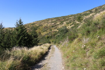 sentiero a Fiumalbo, Appennino Modenese