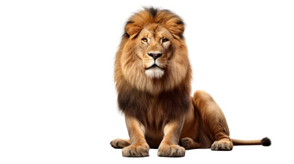 lion on transparent background