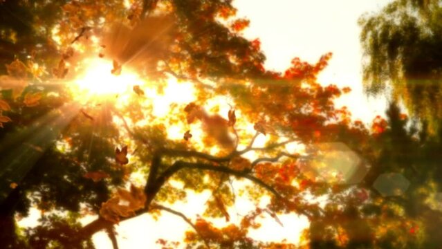 Colorful bright leaves swinging in autumnal background with sun flares Beautiful