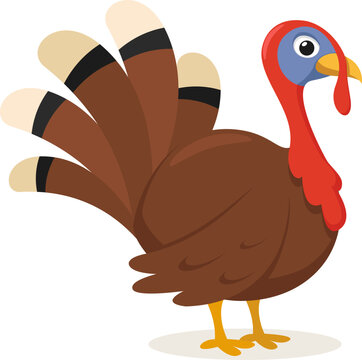 Turkey bird with fluffy tail on a white background. Thanksgiving character