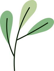 Leaves illustration