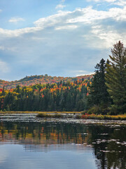 lake in autumn