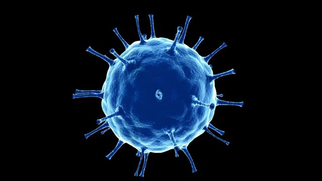 virus animation, covid-19 coronavirus outbreak, microscopic influenza virus cells floating on black background