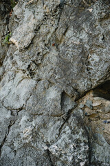 Texture of gray natural stone