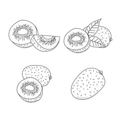 Hand drawn icon set of kiwi fruit isolated on white background.
